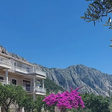 Oliva * Podgora